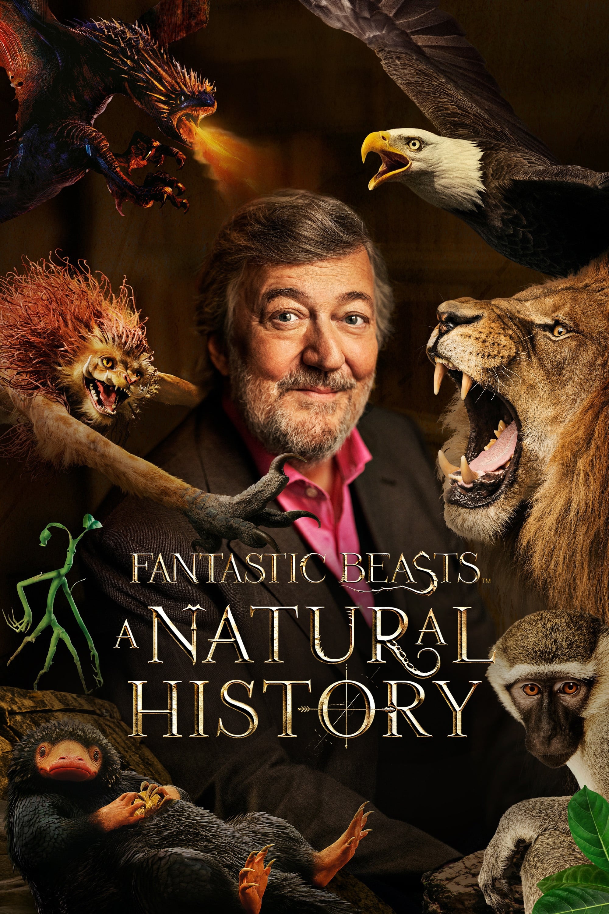 Постер Fantastic Beasts: A Natural History